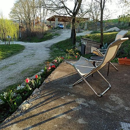 Agriturismo Casa Greppo San Venanzo Extérieur photo
