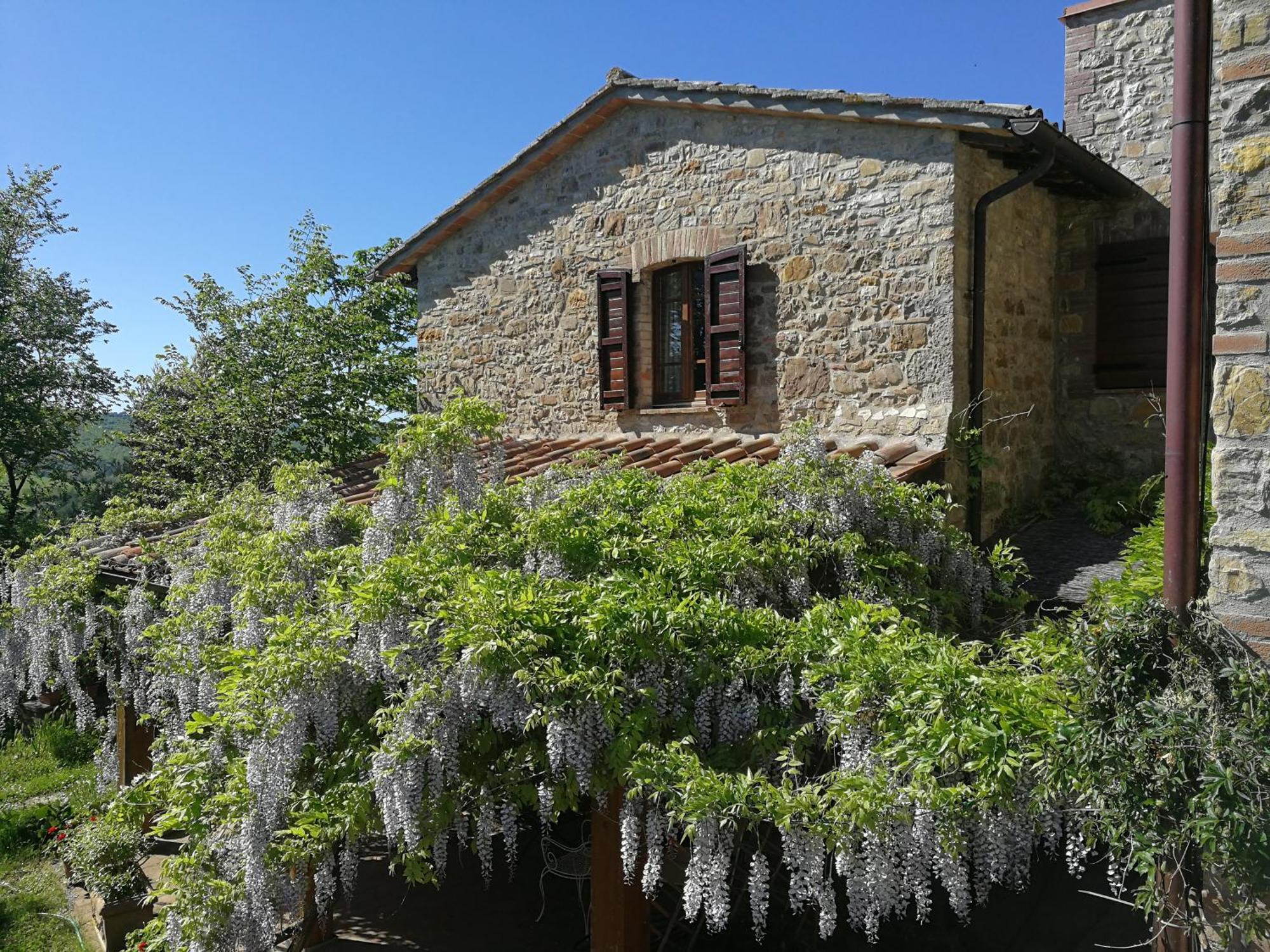 Agriturismo Casa Greppo San Venanzo Extérieur photo