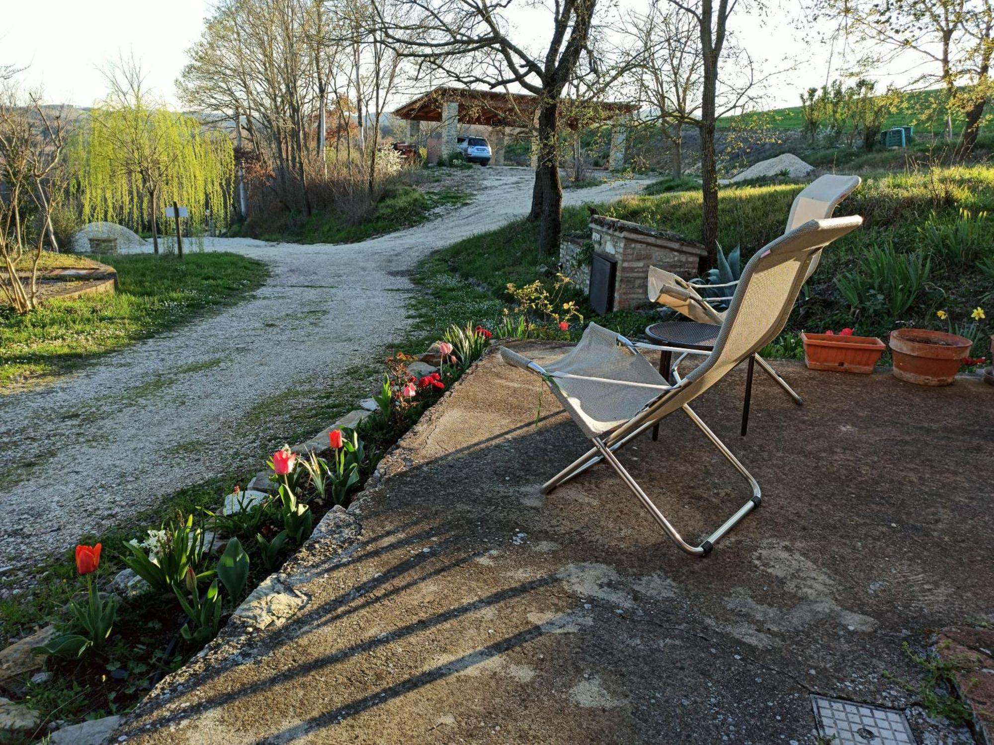 Agriturismo Casa Greppo San Venanzo Extérieur photo